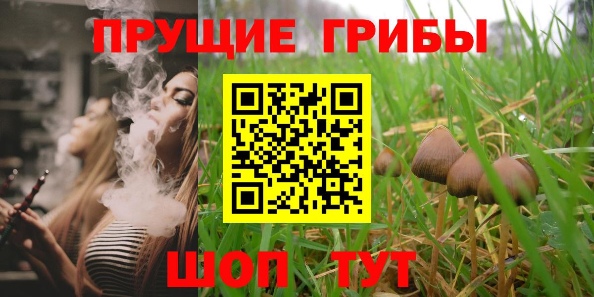 Псилоцибиновые грибы Cubensis  Вход с VPN  Псилоцибиновые грибы MAGIC MUSHROOMS  Заводоуковск 