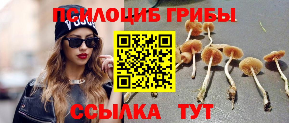 Псилоцибиновые грибы мухоморы Заводоуковск